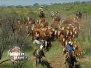 Cattle Ranches