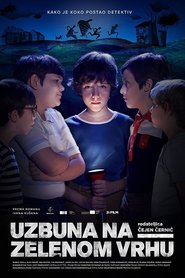 The Mystery of Green Hill (2017) The Mystery of Green Hill (2017)