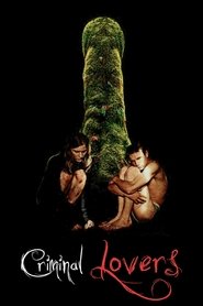 Les amants criminels (1999) Les amants criminels (1999)