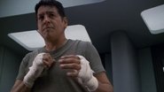The Fight