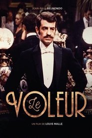Le voleur
