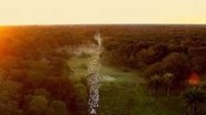 Pantanal: A Boa InocÃªncia de Nossas Origens