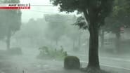 Typhoon Forecasting