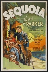 Sequoia Ver Descargar Películas en Streaming Gratis en Español