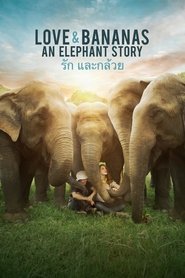 Watch Love & Bananas: An Elephant Story (2018)