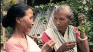 The Flow of Resilience