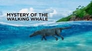 The Mystery of the Walking Whale