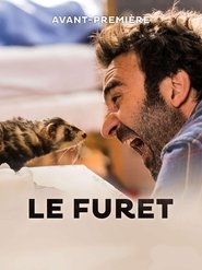 Image Le furet