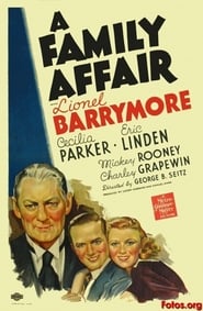 image de A Family Affair affiche