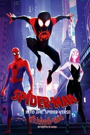 Spider-Man Into the Spider-Verse (2019) สไปเดอร์-แมน ผงาดสู่จักรวาล-แมงมุม HD