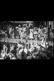 Indian Scenes
