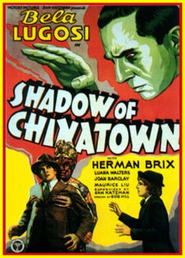 Shadow of Chinatown