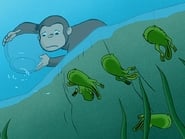 Curious George Discovers the Poles