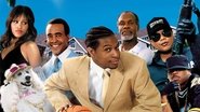 The Cookout
