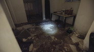 Dream Home to War Zone