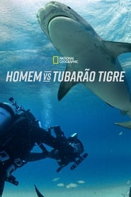 Image Homem vs Tubarão Tigre