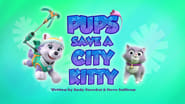 Pups Save a City Kitty