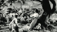 നീലകുയില്&zwj;