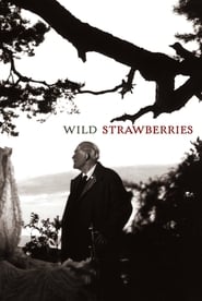 Wild Strawberries film streame