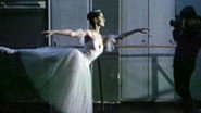 The Black Swans
