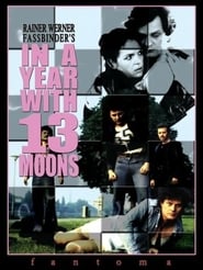 Affiche de Film In a Year with 13 Moons