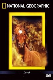 The Noble Horse (1999) The Noble Horse (1999)