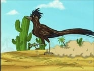 The Great Roadrunner Race