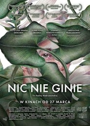 Nic nie ginie