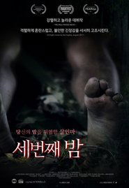 Watch 3rd Night (2017)