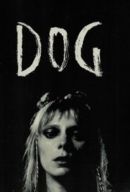 Image Dog