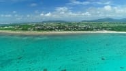 Ishigaki Island: Dreams of Compassion