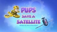 Pups Save a Satellite