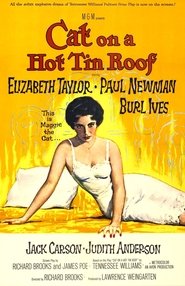 Cat on a Hot Tin Roof