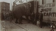The Tragic Story of Fritz the Elephant