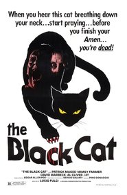 Photo de The Black Cat affiche