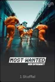 Most Wanted Season 1