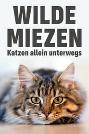 Wilde Miezen - Katzen allein unterwegs (2017) Wilde Miezen - Katzen allein unterwegs (2017)