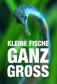 Kleine Fische ganz groß