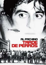 Images posters