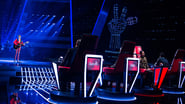 Blind Auditions 7