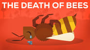 The Death of Bees Explained — Parasites, Poison and Humans