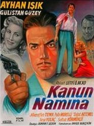 In the Name of the Law film streaming