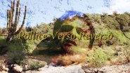 Pollice Verso Reverso (2017)
