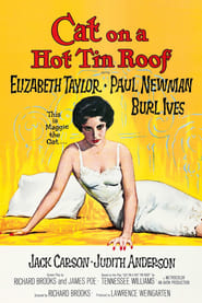 Cat on a Hot Tin Roof Film Streaming