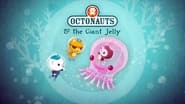 The Giant Jelly