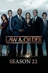 Law & Order Season 20