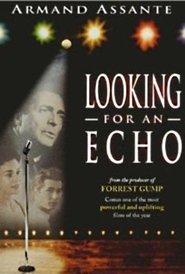 Looking for an Echo Film Plakat