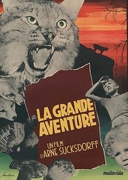 Affiche de Film The Great Adventure