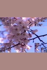 Rock Video: Cherry Blossom (1986) Rock Video: Cherry Blossom (1986)