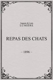 Repas des chats
